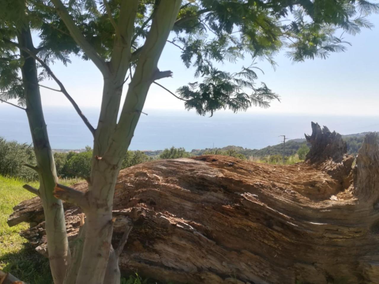 Il Cerro Agriturismo Zagarese فوسكالدو المظهر الخارجي الصورة